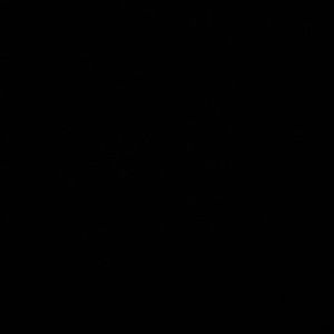 Meet your Posher, Lola